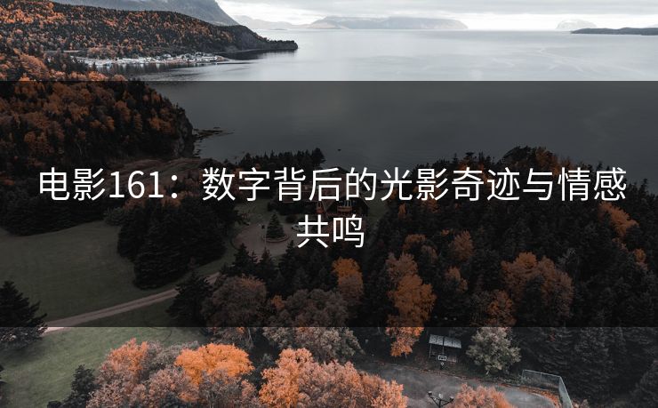 电影161：数字背后的光影奇迹与情感共鸣