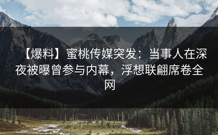 【爆料】蜜桃传媒突发：当事人在深夜被曝曾参与内幕，浮想联翩席卷全网