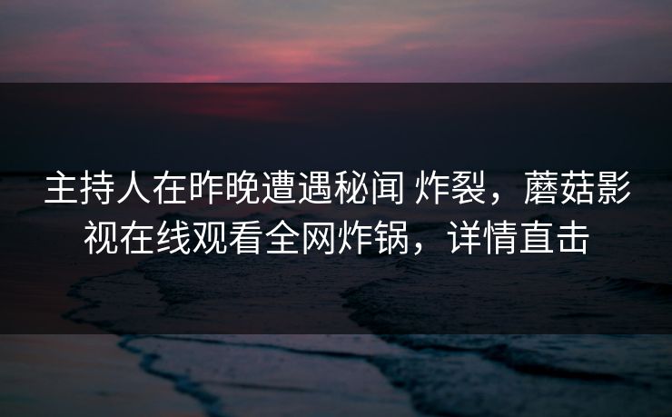 主持人在昨晚遭遇秘闻 炸裂，蘑菇影视在线观看全网炸锅，详情直击